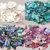 2Jar High Quality Colorful Irregular Natural Sea Shell Texture Thin Abalone Slice Nail Art Sequins Manicure Decals Tip