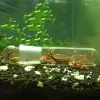 Нагревание vastocean glass planarian Trap Aquarium aquarium grim Устройство с удалением саранча