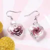 Dangle Earrings DiLiCa Elegant Drop Oorbellen Voor Vrouwen Stainless Steel Glass Heart Statement For Women Jewelry