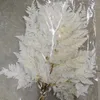 Fleurs décoratives 10pcs feuilles de fleurs séchées conservées de dent de moutons alpins frais Bouquet de dents violon