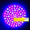 E27 Rood en blauw 80 LED 4.5 W Hydroponic Plant Grow Growth LED-gloeilamp 85-265V LL