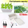 9/12 Löcher Anlagen Standort Hydroponischer Garten Kindergarten Pflanzer 220V Innengartenblase Wachstum Kit SOILLESS KAUFEN SYSTEM 240410