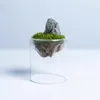 Vases petites pour les fleurs en verre transparent de décoration de mariage rustique plante de fleur de fleurs de table de table de table