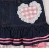 Rokken lolita -stijl mini denim vrouwen gotische kanten plaid harten ruches jk rok Japanse meisjes sexy y2k punk gelaagd zoet