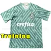 Maglie da calcio Palmeiras 2023 2024 camicie da calcio G.menino Giovani R.veiga Jersey 23 24 S-2xl Adult Shirt Allenamento Dudu Rony G.Gomez Polo