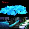 Acquari da 50 pezzi pietre luminose brillano nelle pietre luminose per ciottoli scuri per passerelle all'aperto giardino cortile del giardino armato di pesce rocce di ciottoli