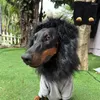 Hundkläder lejon mane peruk med öron roligt hår tvättbart kompletterande cosplay outfit husdjur fancy