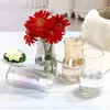 Vazen ins stijl geleidelijk kleurrijke glazen vaas droge bloem arrangement fles woonkamer en slaapkamerdecoratie