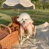 Dog Apparel Summer Rose Sarong Pet Wedding Dress Thin Breathable Cat Clothes Sweet Cute Puppy Maltese Bichon Small