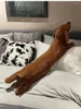 Oreiller 55-120cm dck-tache amateur de chien brun mignon poupée moelleuse à pattes courtes