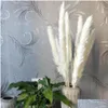 Flores decorativas grinaldas nos caldo 30pcs naturais pampas secas grama palheta caseira decoração de cacho de flor externa decoração rosa25733498839 gota d ot6nr