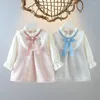 Robes de fille robe bébé en bas âge 2024 automne à manches longues Princesse plaid A-line jupe gamin vêtements Vestido 0-3y