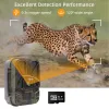 Cameras 4G Live Video Hunting Trail Camera with 10000mAh Lithium Battery, Wireless App, Cloud Service, 36MP 4K IR Night Vision Device