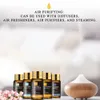 28pcs Pure Natural Essential Oils Gift Set Massage Shower Diffuser Aroma Oil Lavender Vanilla Sage Jasmine Rose Stress Relief 240417