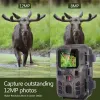 カメラハンティングトレイルカメラ20MP 1080p屋外の野生生物カメラ監視夜ビジョン写真トラップmini301