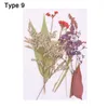 Dekorativa blommor Färgglada naturliga torkade blommorpressade blandade blad Verklig växthartsform Fyllning Diy Material Scrapbooking Decoration