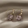 Dingle örhängen lila barock pärla opal druvor droppar för kvinna koreanska mode smycken fest flickor elegant krok
