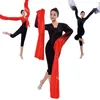 Bühnenverschleiß Wasserhülle Tanzkleidung Top weibliche klassische Praxis Performance Jinghong Dancetibetan Ethnische chinesische Volk Kostüme