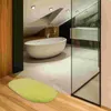 Tapis tapis de tapis absorbant de bain absorbant tapis sans glissement lavable salle de bain sherpa tapis de douche pour tapis