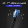 Seago Electric Sonic Toothbrush USB Rechargeable Adult 360 Days Long Battery Life with 4 Replacement Heads Gift SG-575 240419