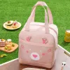 Taschen Pink Lunchbag für Kinder Frauen Neue tragbare Reißverschluss Thermal -Food -Taschen mit transparenten Vordertasche verdicken Cartoon Lunchbox