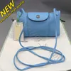 Wang Handbag Luxury Wallet Clearance Ziwen Retail Sac Wholesale Jour Bolso Dumpling Squareshoulder Small Cross-body Bag the Same Lamb Skin 86EH