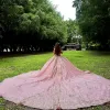 Мексиканские розовые платья Quinceanera Ball Hone