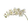 Dekorativa blommor 9-huvud Artificiell orkidégren Simulering Plastiska phalaenopsis Blommor plockar Desktop Floral Arrangement Dreve Home