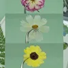 Decorative Flowers 6pcs/bag Nature Pressed Sunflower Rose Chrysanthemum Flower Material DIY Real Po Frame Adhesive Drop Wholesale