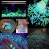 Aquariums 1000pcs Luminous Stones Glow In Dark Fish Tank Pebbles For Home Garden Aquarium Decoration Microlandscape Plant Pot Decor Rocks