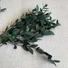 Dekorativa blommor Naturliga konserverade eukalyptus lämnar 12st/10-20 cm verkliga små torkade grenar DIY för ljusharts.