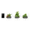 Decorative Flowers Artificial Succulent Plant Arrangements In Faux Pots 3 Piece Set Assorted Sizes Wedding Decoration For Arch