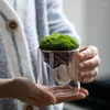 Vases en verre transparent pour les centres de centre de décoration décoratifs de pampas à la maison