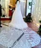 One Layer Long Cathedral Wedding Veils Lace Applique Soft Tulle Bridal Veil Bridal Accessories With Comb2921903