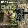 Kameror HC801M Hunting Trail Camera Outdoor Wildlife Infrared Cameras 2G MMS Photo Video Surveillance 16MP 1080p SMS Night Vision