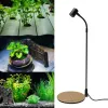 Aquariums 3W Home Heat Insulation Miniature Landscape Aquarium LED Light Potted Plants DIY Adjustable With Foot Pad Waterproof Fish Tank