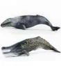 Tomy 30CM Simulation Marine Creature Whale Model Sperm Whale Gray Whale PVC Figure Model Toys X11068150254