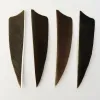 Packs No Colored Archery Feather 3/4/5 inch 50pcs/bag Hunting Arrow Fletching Fletches Natural grey and stripe Turkey Feathers