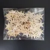 100pcs Mini Starfish Craft Decoration Natural Stars Diy Beach Cottage Decord Crafts