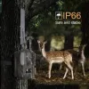 Kameror 4G Hunting Camera GPS POTO TRAPS 12MP 4G FDDLTE Wild Cameras MMS E -post GPRS GSM Thermal Imagers Night Vision Trail Camera Trap