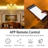 Kontrola Tuya Wi -Fi Smart Life Light Switch RF433 Pasel ścienny sterujący bezprzewodowy odbiornik przekaźnikowy 110V 220V Praca z Alexa Google Home