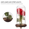 Dekorativa blommor LED Rose Bottle Light med sträng USB -driven sängkontroll Kontroll Ambient för alla hjärtans dag Mors