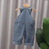 Soft Cotton Baby Boys Komisja Sprężyna jesień dzieci kreskówki długie spodnie swobodne dziewczęta Jumpsuits Dzieci Ubrania SzepleTrouserzy 240411