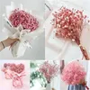 Fleurs décoratives babys séchés souffle bouquet de gypsophile naturel cadeau sèche pour la mère et l'ami de mariage décor de maison couronne de bricolage