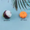 Charms 10pcs Warzywa Dyniowe owoce Mangosteen Kolejki DIY Informacje DIY