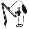 Microphones BM800 Computer Live Condenser Microphone K Song Game Studio Reverb