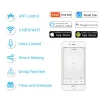 Kontroll Loratap Tuya Smart WiFi Curtain Switch Relydodul för rullluckfönster Glinds Google Home Alexa Voice Control Ny version