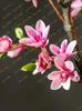 Fleurs décoratives grandes arbres imitatifs magnolia kapok faux arbres de fleurs de verdure de bonsaï de végétation intérieure et ornements d'atelier