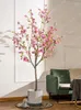 Flores decorativas Gran árbol imitativo Magnolia Kapok árboles falsos de flores de bonsai planta de vegetación de interior y adornos en el piso de la tienda