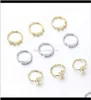 Rings studs Human Body sieraden Bot Piercing Nagel Set Kleur Wergen geëlektroplateerde pruimenbloesem Zirkonen Neusring K2X0S XYHWJ1807046